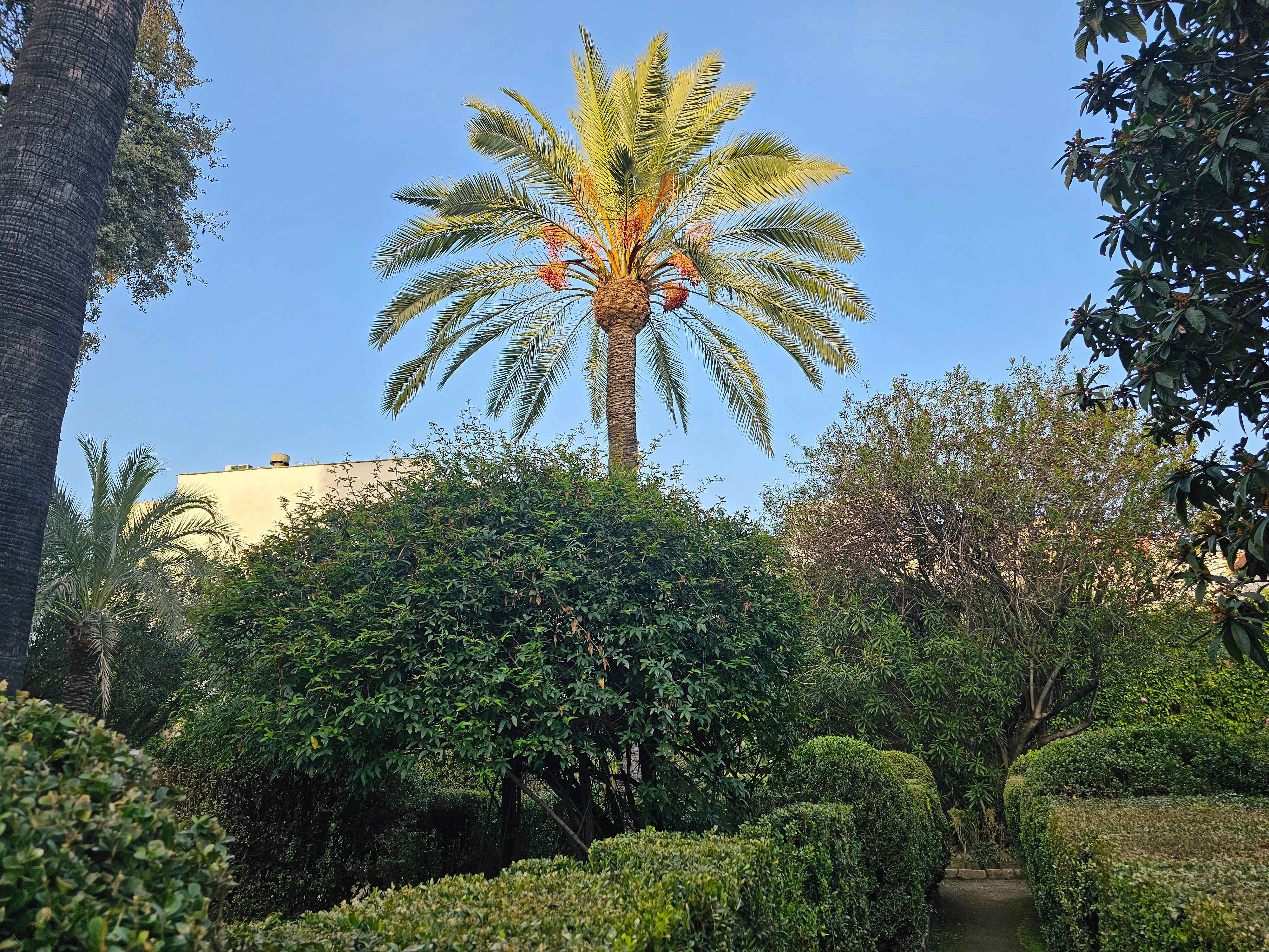 S_Spain